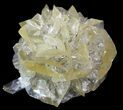 Twinned Selenite Crystals (Fluorescent) - Red River Floodway #64527-1